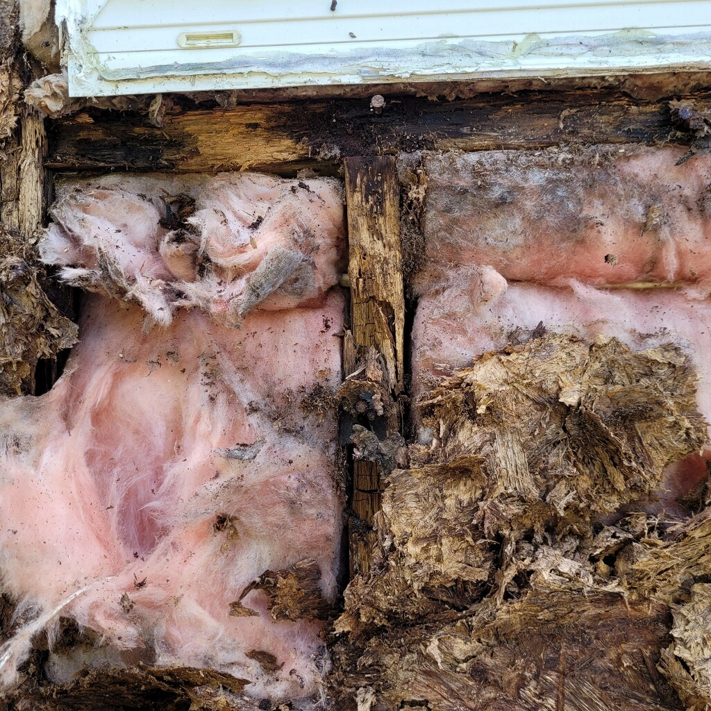 framing rot on a house